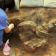 Illustration for article titled Over 100 Beautifully Preserved Terracotta Warriors Unearthed in China